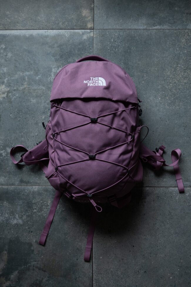 Bulto The North Face Borealis - 28 Litros